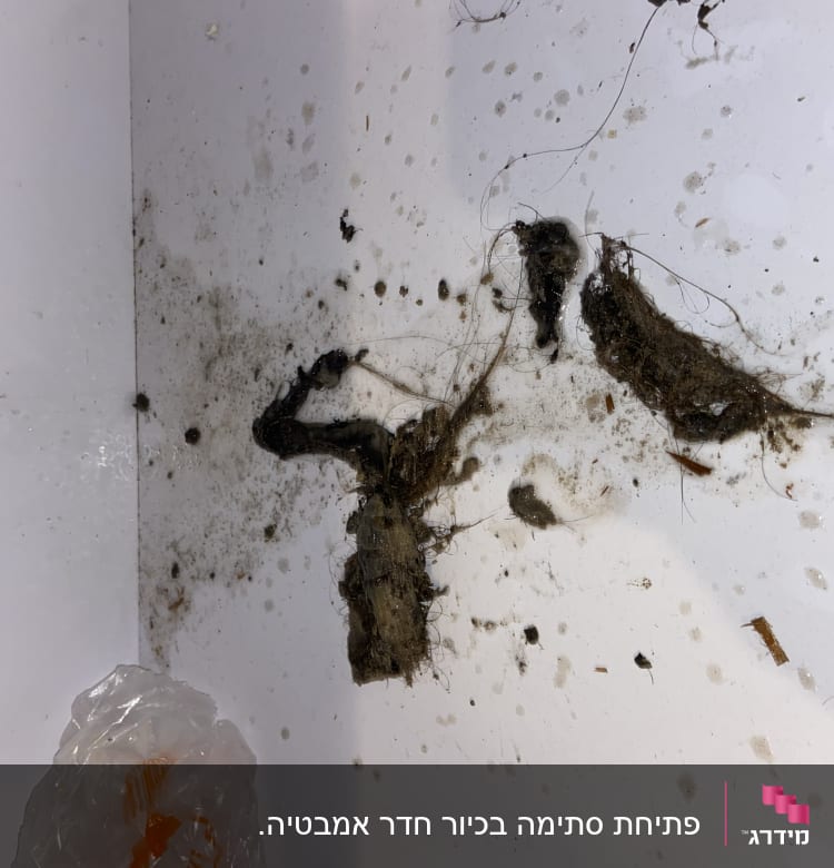 לכלוך ושיער סתום בצינור ביוב